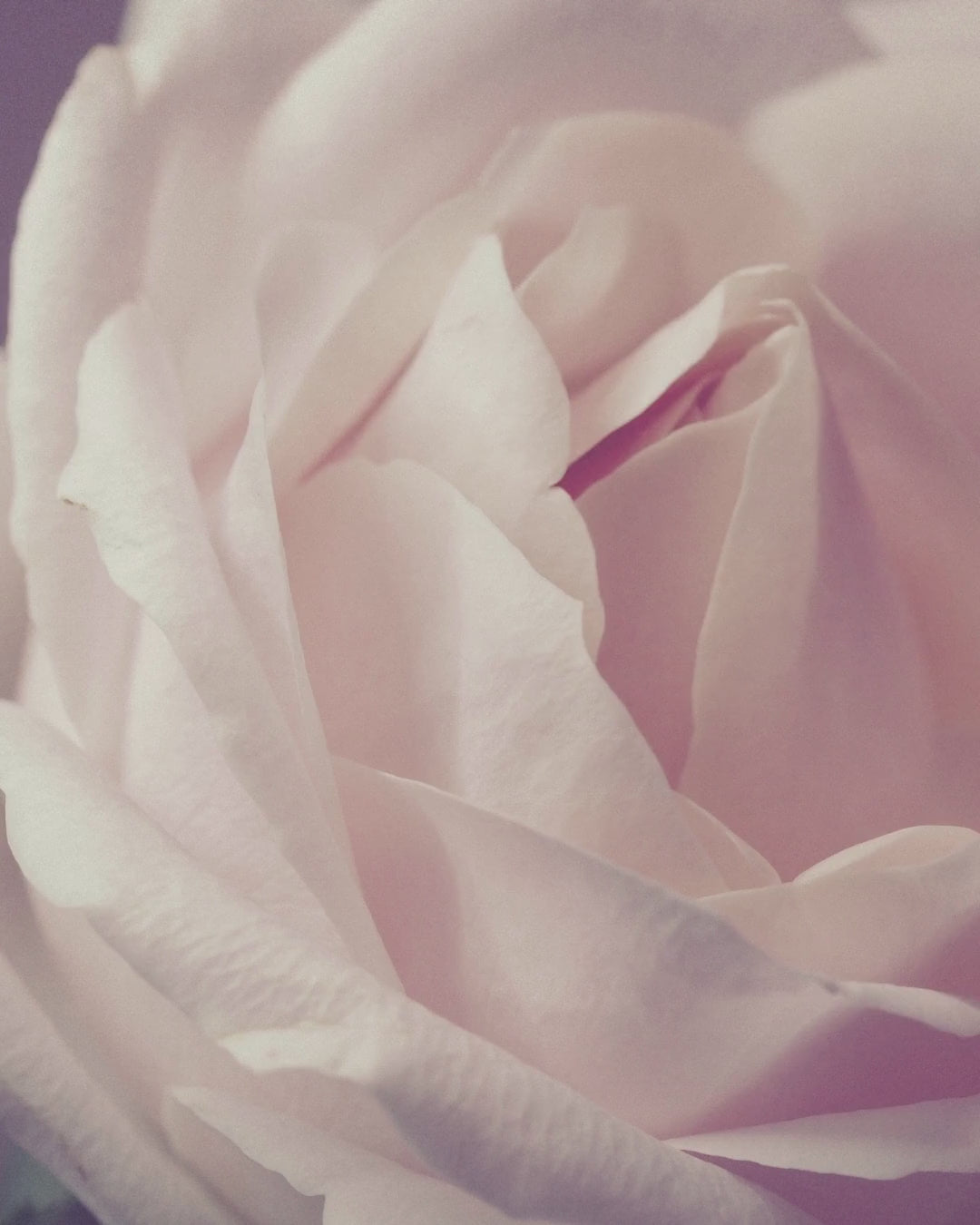 “Welcome to Glowspacely ✨ Your one-stop shop for w.mp4